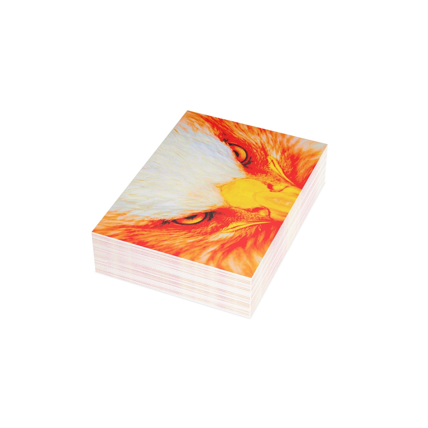 Bird Art Creations Postcard Bundles (envelopes not included)