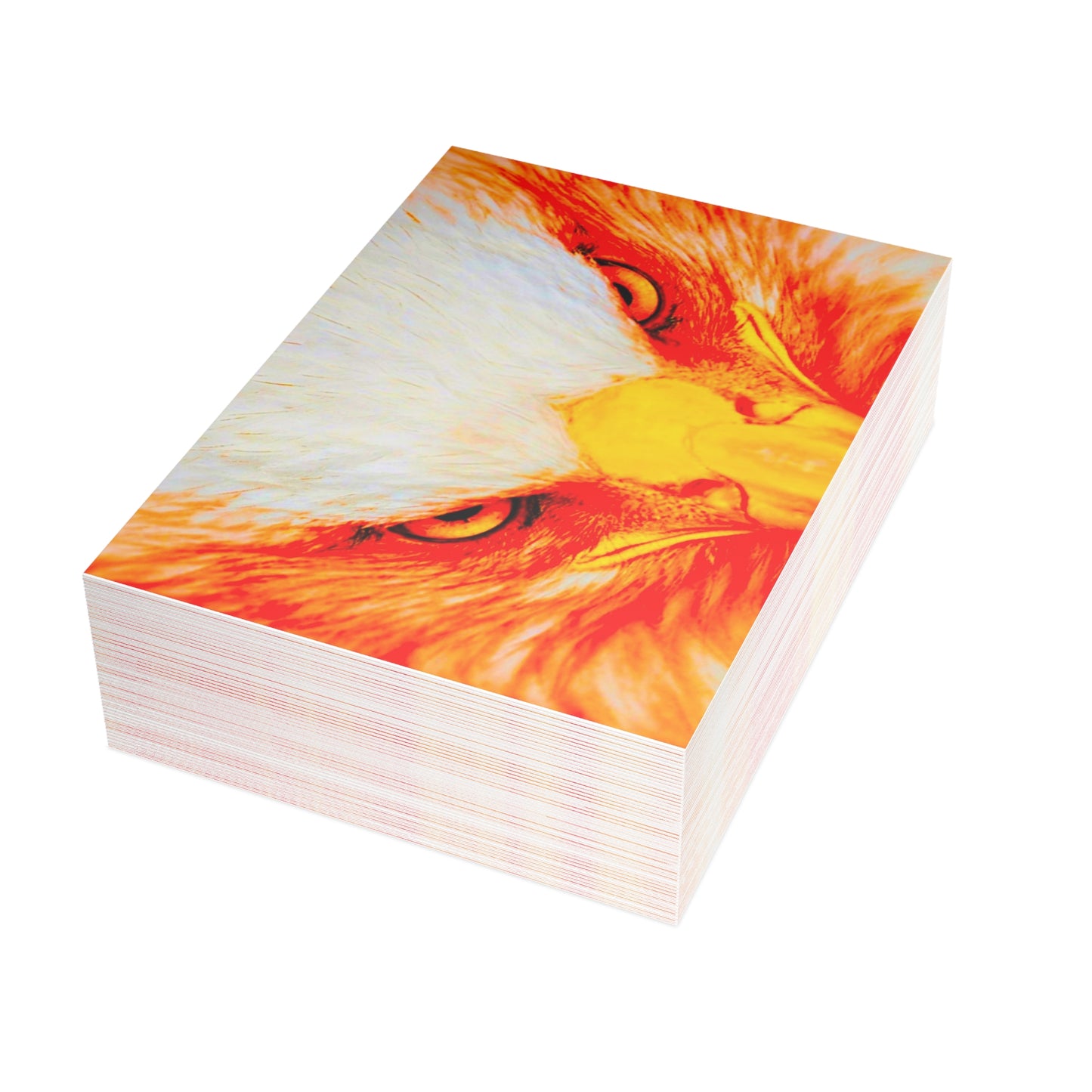 Bird Art Creations Postcard Bundles (envelopes not included)